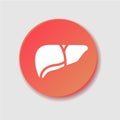 Liver color flat icon. Human internal organs symbol.